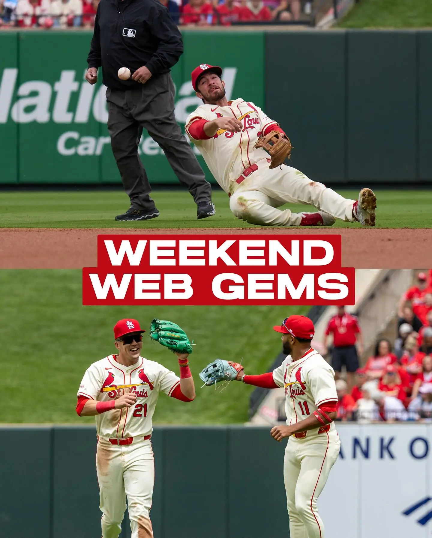 Cards highlight fielding prowess as team continues impressive form following recent victories.