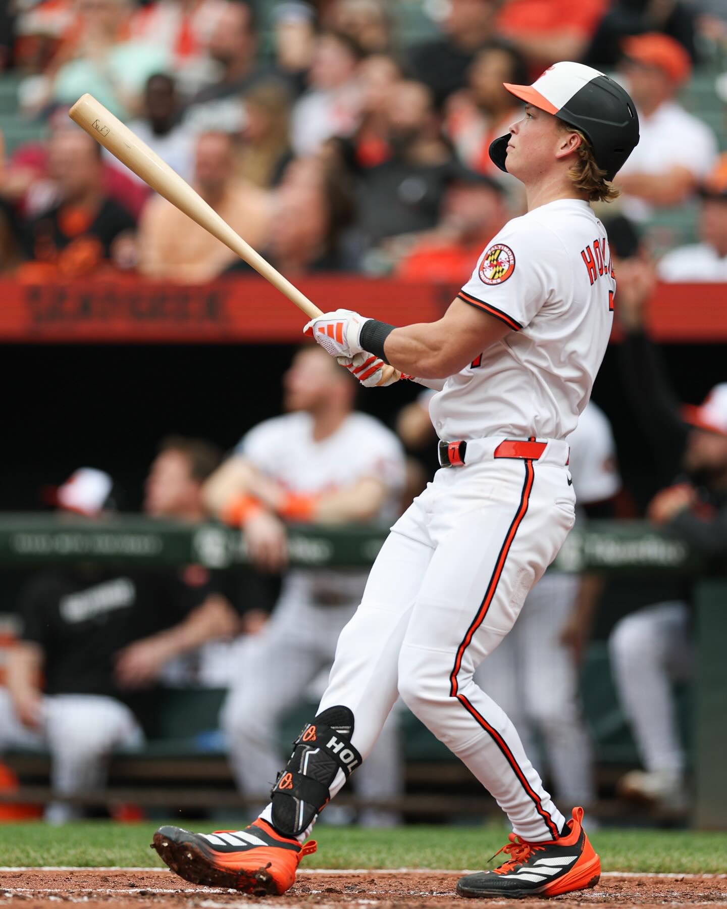 Baltimore Orioles Lights, Camera, Jackson_image