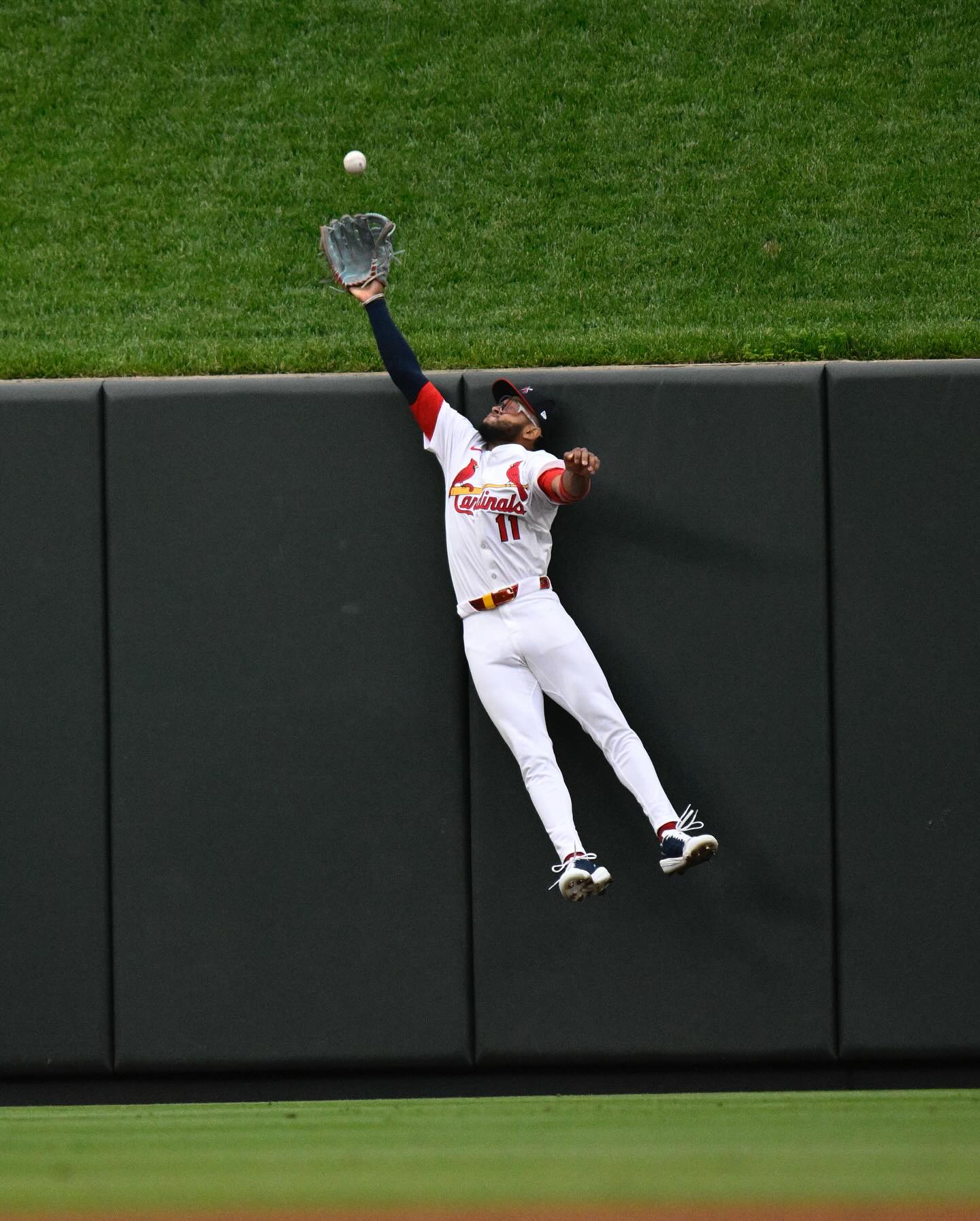 Cardinals Celebrate Victor(s) With Powerful Visual Tribute Cardinals Celebrate Victor(s) With Powerful Visual Tribute_image
