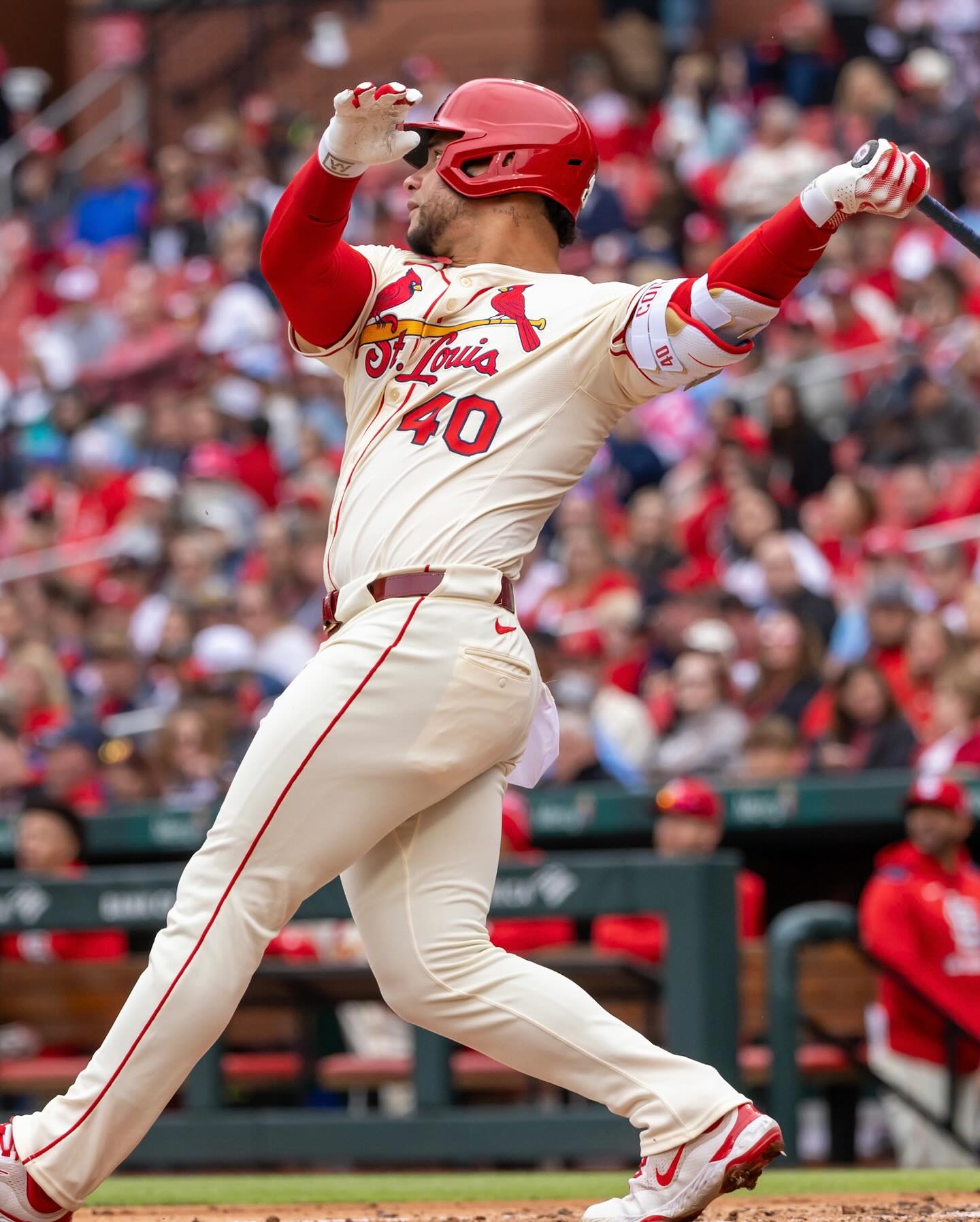 Cardinals Clinch Thrilling Victory Cardinals Clinch Thrilling Victory_image