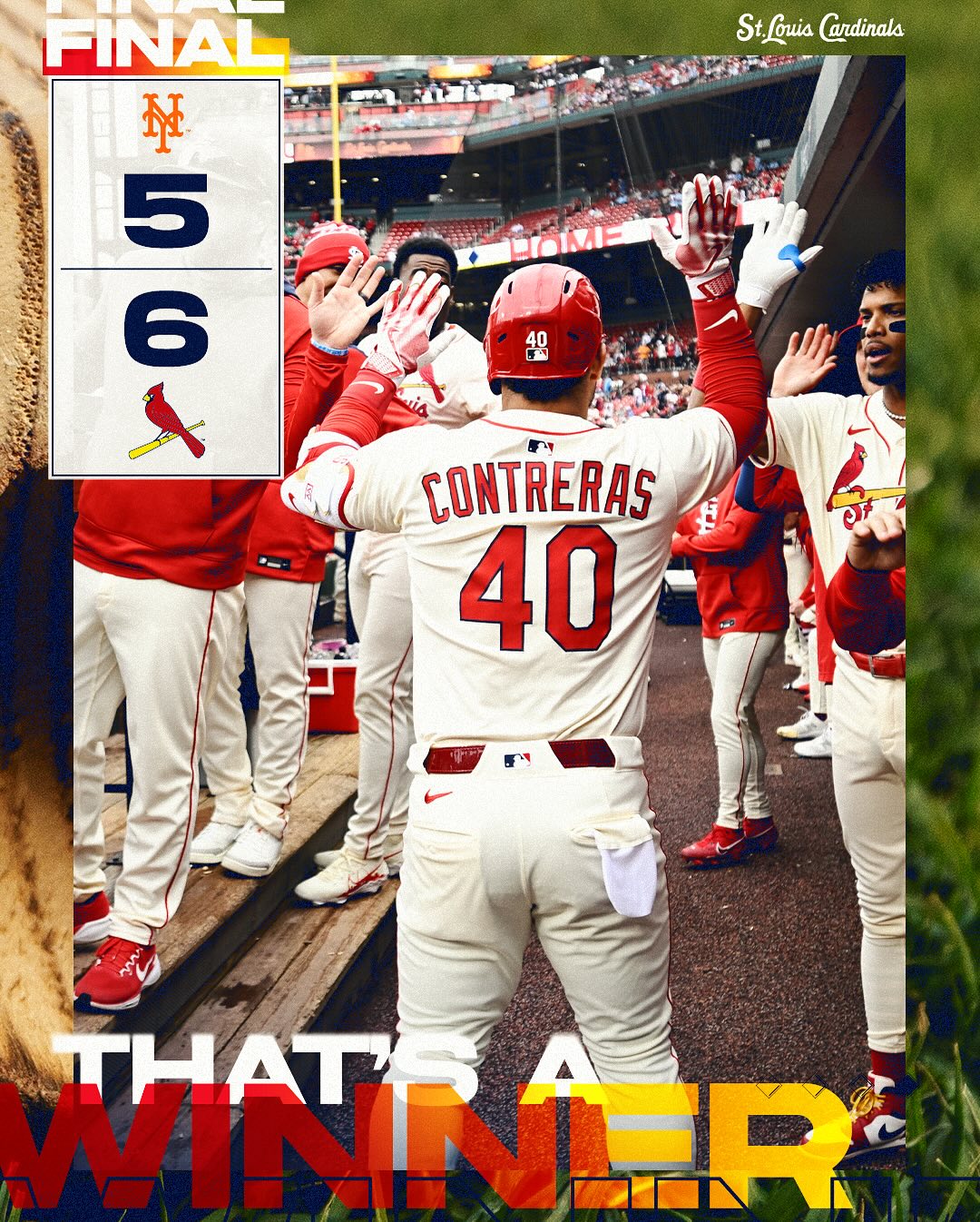 Cardinals Clinch Thrilling Victory