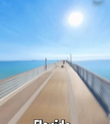 Colorful Camera Drop At Dania Beach Pier