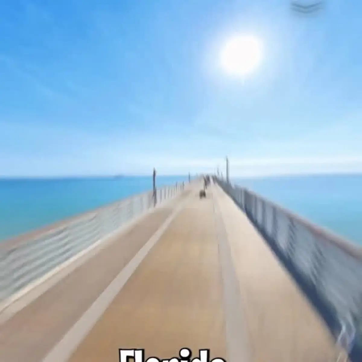 Colorful Camera Drop At Dania Beach Pier_image