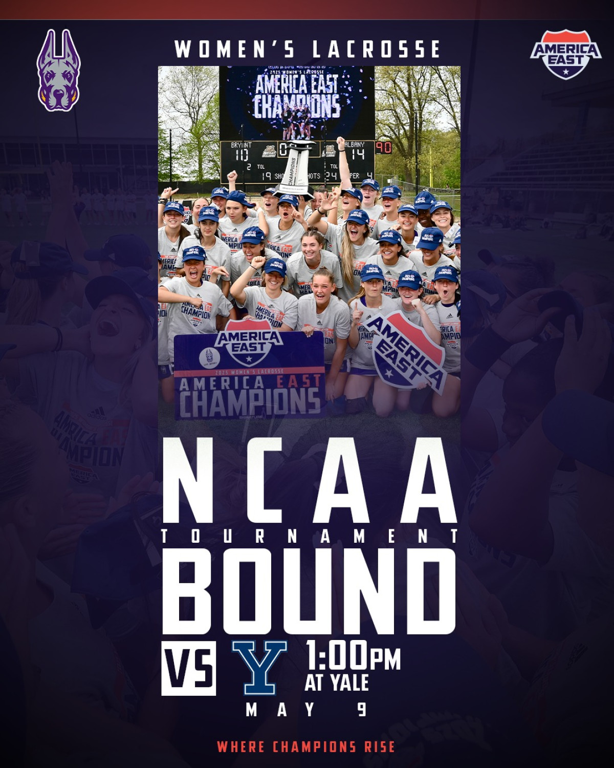 Great Danes Face Yale Bulldogs In Weekday Showdown Great Danes Face Yale Bulldogs In Weekday Showdown_image