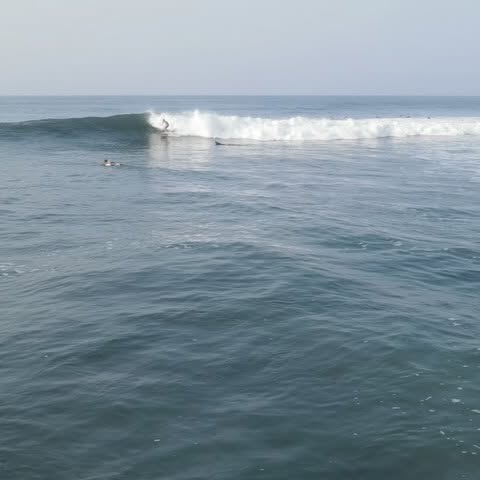 Shane Reynolds Celebrates 38 Years Of Shortboarding In El Salvador